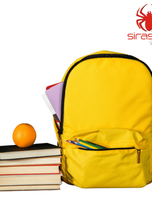 School Bags Manufacturers